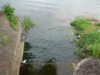 DSC08202