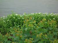 DSC08235