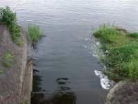 DSC08250