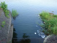 DSC08270
