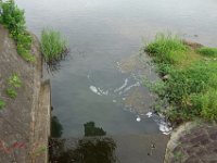 DSC08316