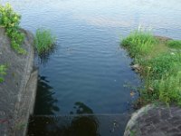 DSC08328