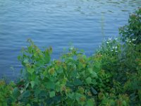 DSC08331