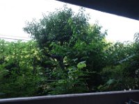 DSC08335
