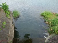 DSC08357