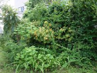 DSC08363