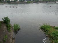 DSC08376