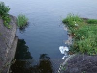 DSC08395