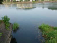 DSC08413