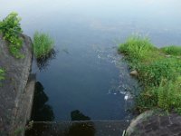 DSC08532