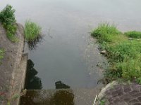 DSC08544
