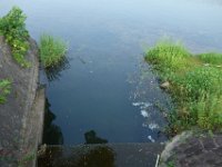DSC08561