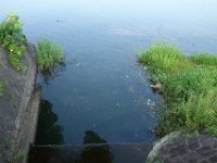 DSC08575