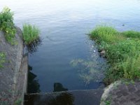 DSC08587