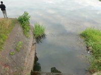 DSC08621