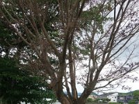 DSC08645
