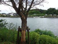 DSC08647