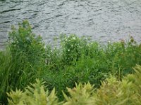 DSC08650