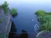 DSC08720