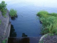 DSC08796