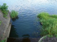 DSC08821