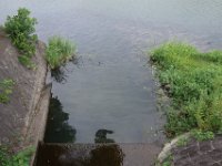 DSC08833