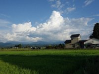 DSC08887