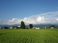 DSC08888