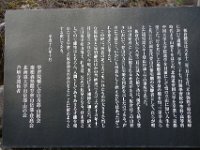 DSC08894