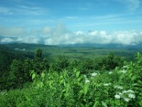DSC08935