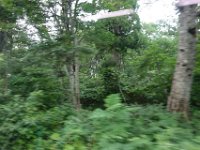 DSC08997