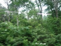 DSC09001