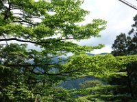 DSC09006