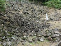 DSC09010