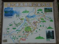 DSC09045