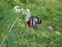 DSC09077