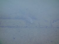 DSC09147