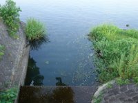 DSC09153