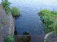 DSC09194