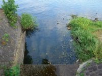 DSC09219