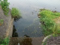 DSC09238
