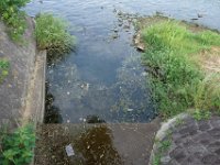 DSC09245