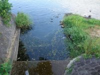 DSC09264