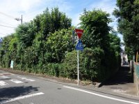 DSC09286