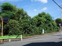 DSC09288