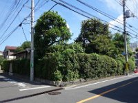 DSC09289