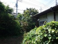 DSC09290