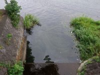 DSC09423