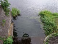 DSC09429