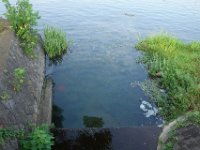 DSC09451